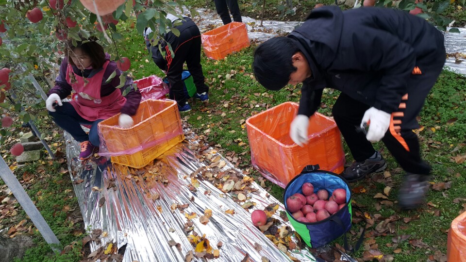 ��ڹ� ��������� 11�� �����ڿ�����Ȱ��