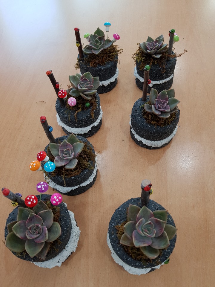 �����ֹ�Ư��