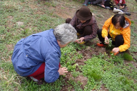 �ְ���ȣ������