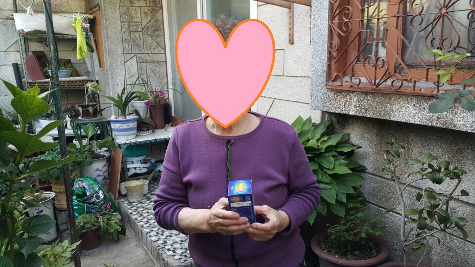 ������ ����