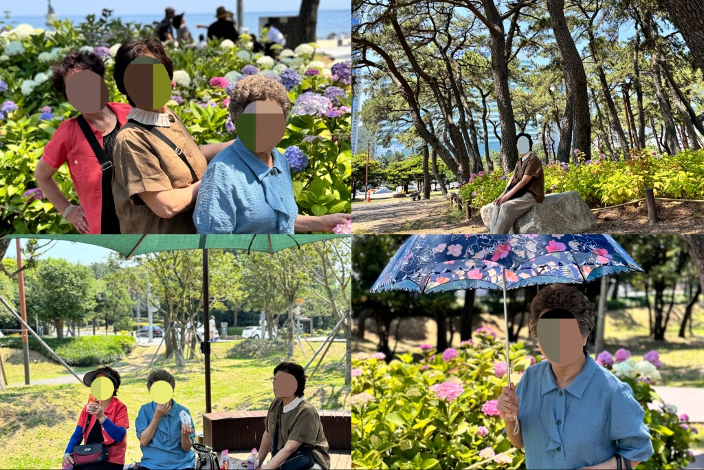 Àç°¡³ëÀÎÁö¿ø¼ºñ½º¼¾ÅÍ ¼Ò±Ô¸ð ³ªµéÀÌ