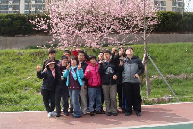 �ϲ޴��� ����Ȱ��