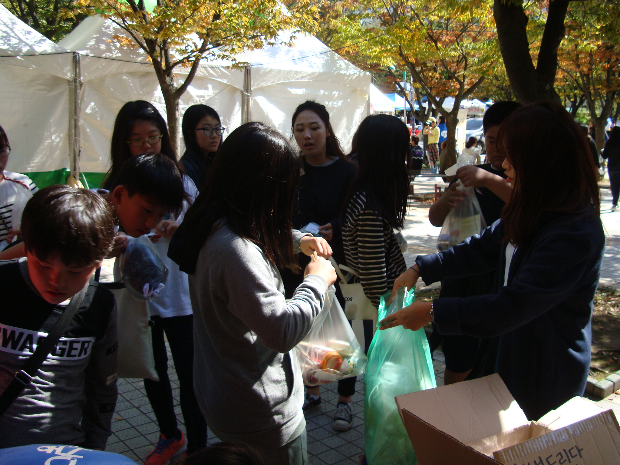 �ູ�帲�� 6ȸ��