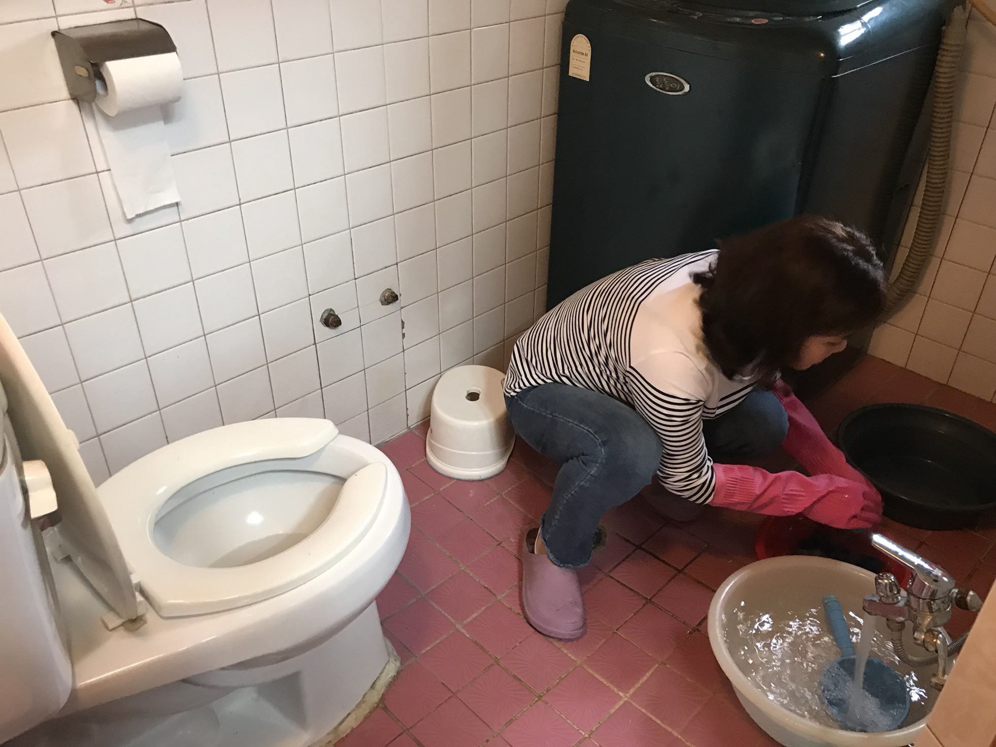 �Ƶ����� �������� 5�� Ȱ��