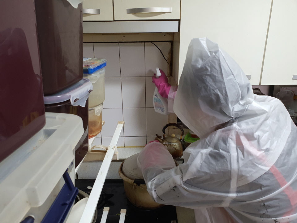 �Ƶ����� �������� 1�� Ȱ��