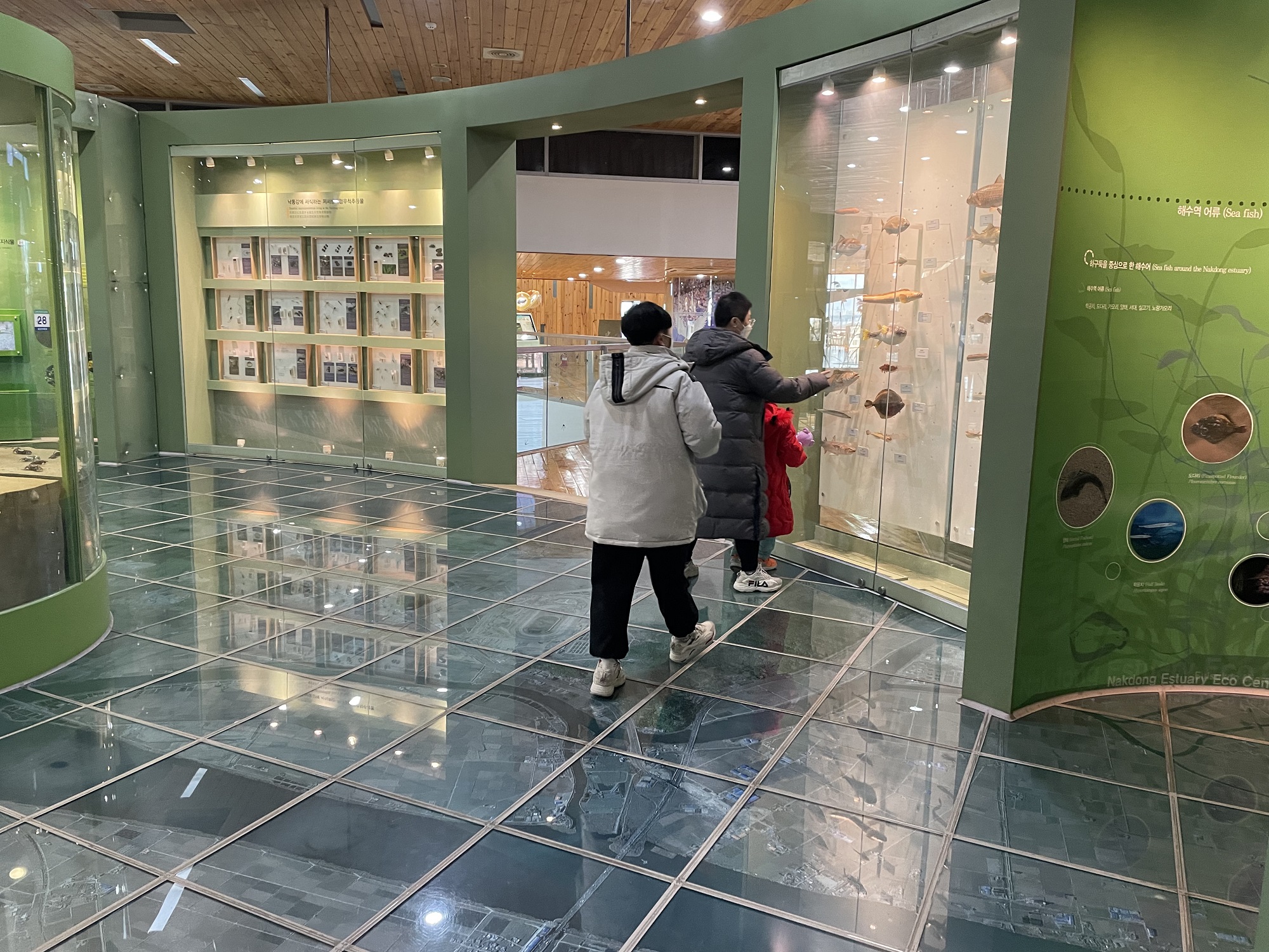 ³ªµéÀÌ È°µ¿