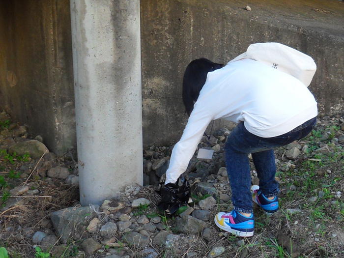 CAȰµ¿ ºÀ»ç´Ü 5ȸ±â Ȱµ¿