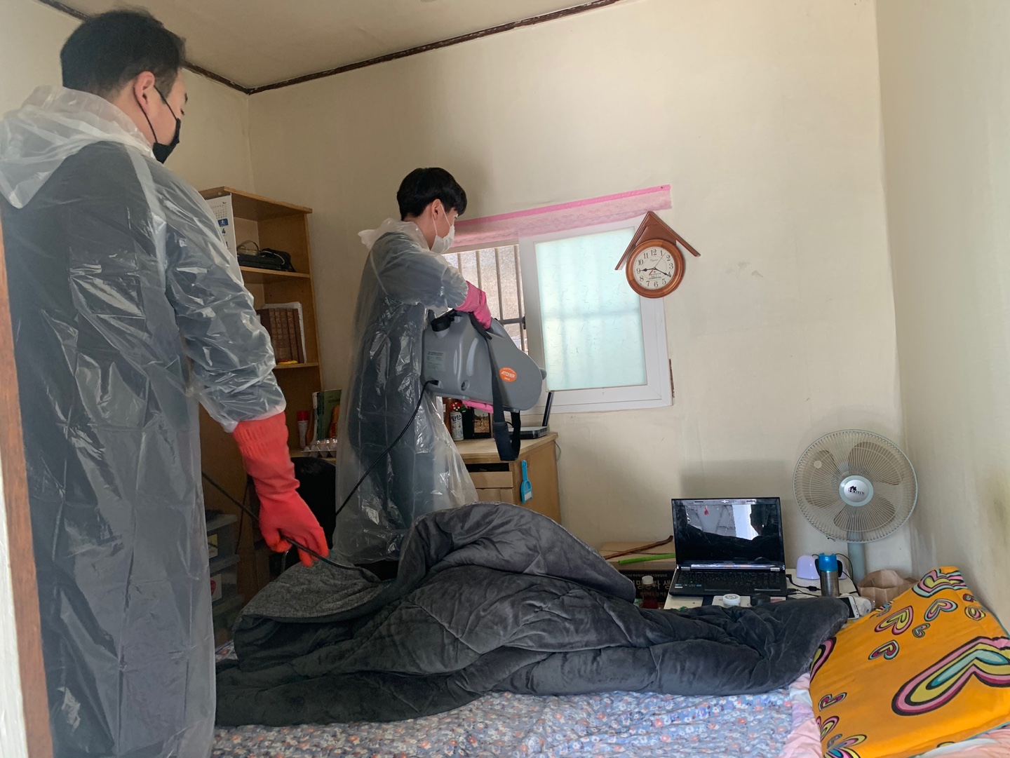 �ڷγ�19 ������ ���� ���� �濪������� ���濪Day�� �ǽ�