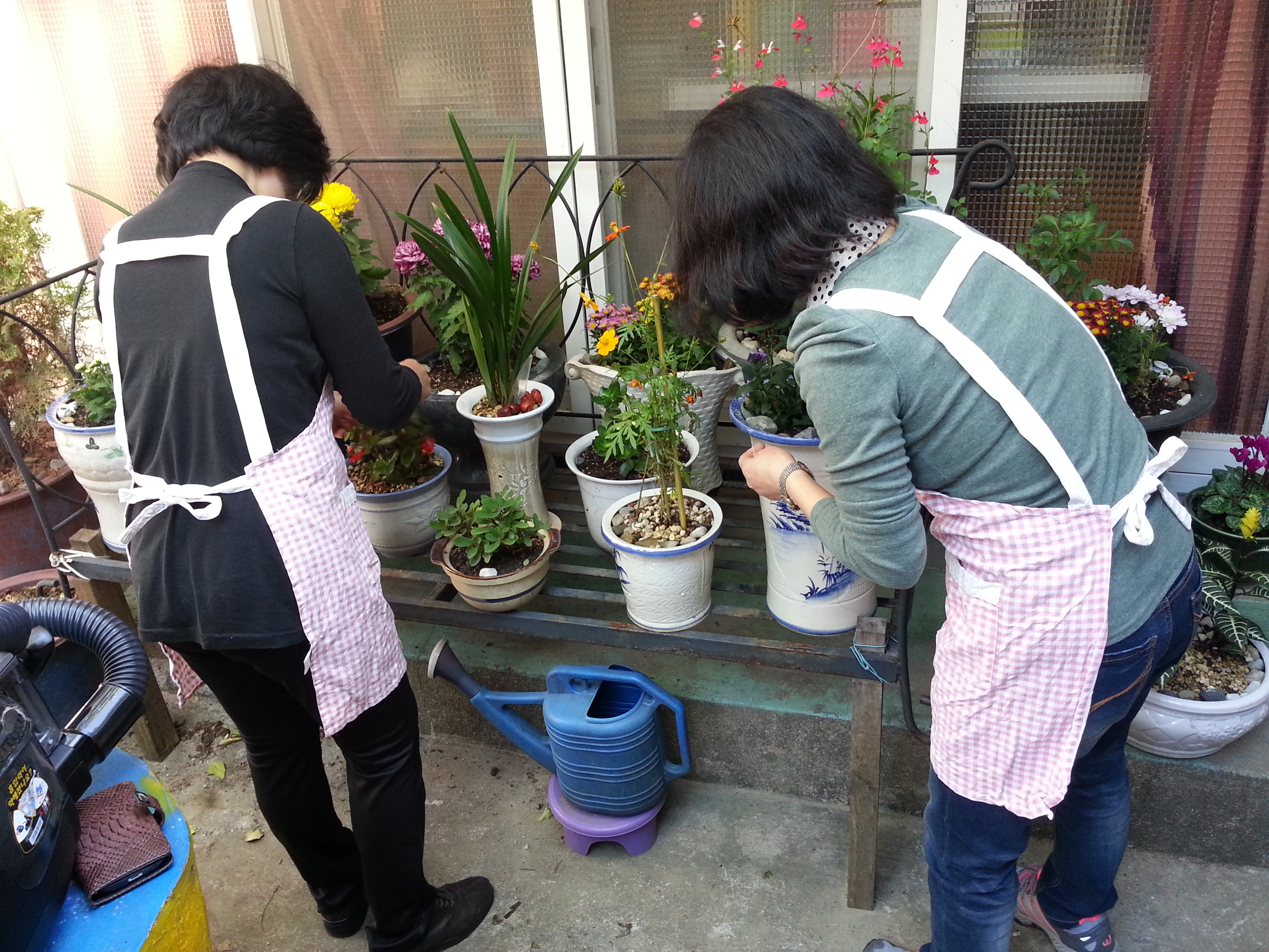 10�� ��������� Ȱ��