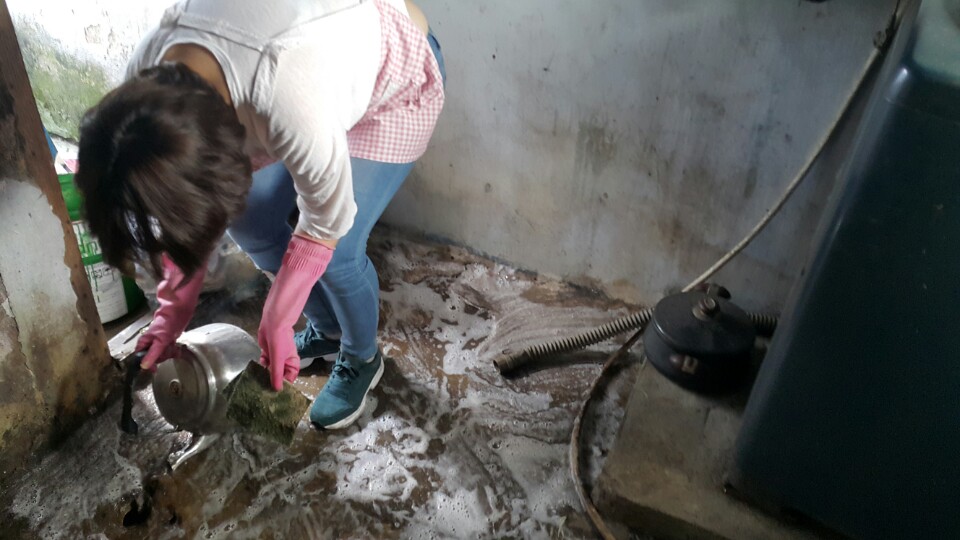 �Ƶ����� �������� 9�� Ȱ��